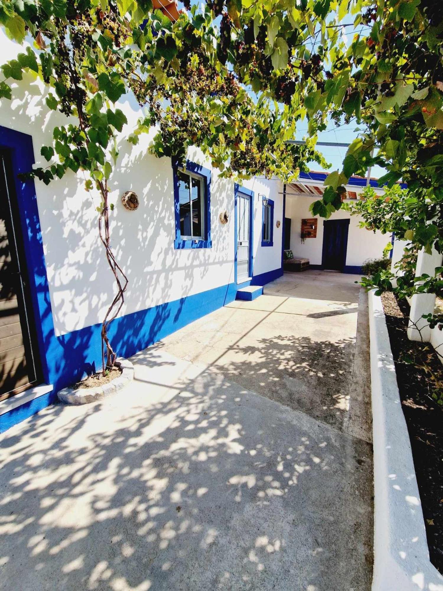 Villa Casa Dos Martelitos Salgueira  Exterior foto